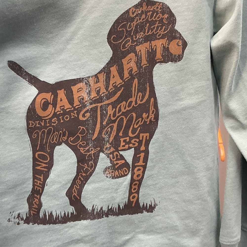NWT Carhartt Kids Sz 3T Mint Dog Graphic LSS and Matching Denim Pant Set - Picture 4 of 9